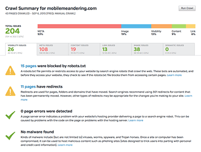 Raven marketing report